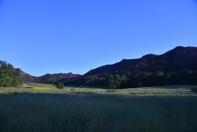 DSC_6188 (Large).JPG